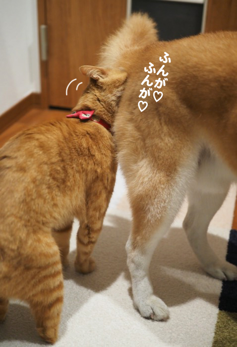 23日夕ブログ７