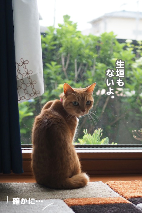 27日ブログ７