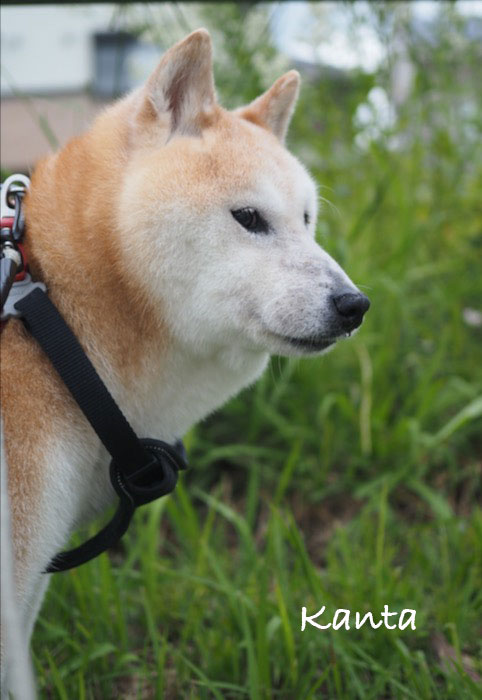 4日夕ブログ２