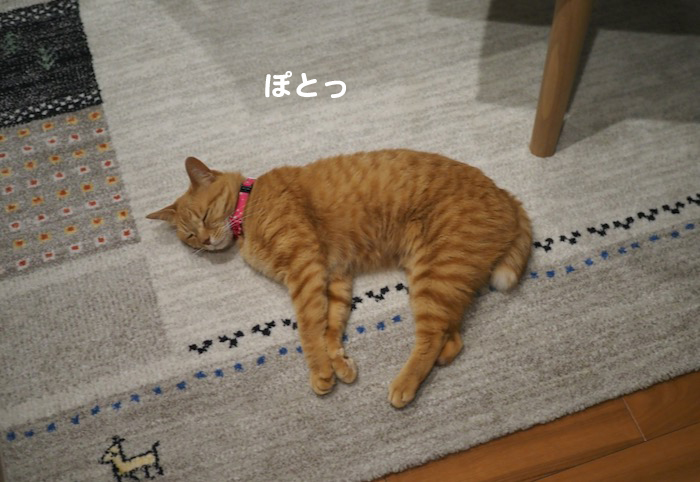 10日ブログ２