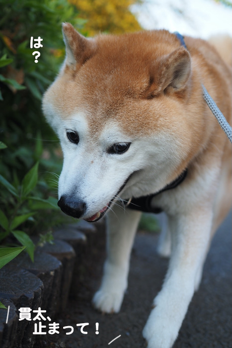 4日ブログ２