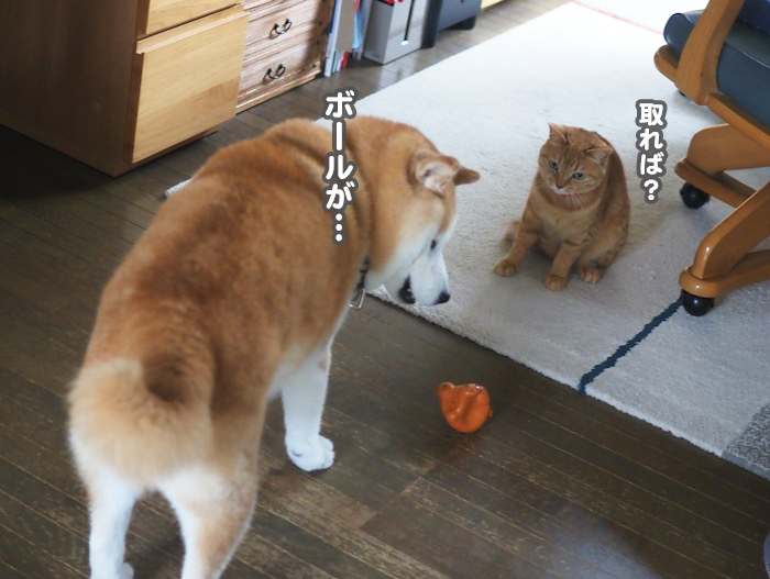 15日夕ブログ３