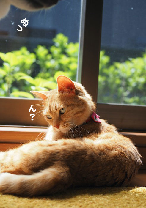 15日夕ブログ4