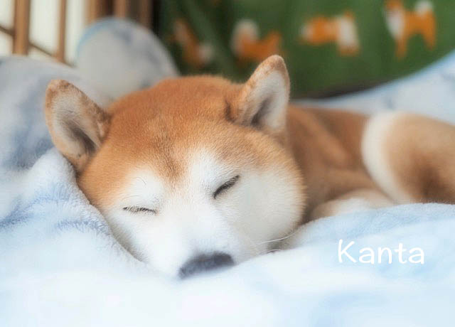29日夕方2