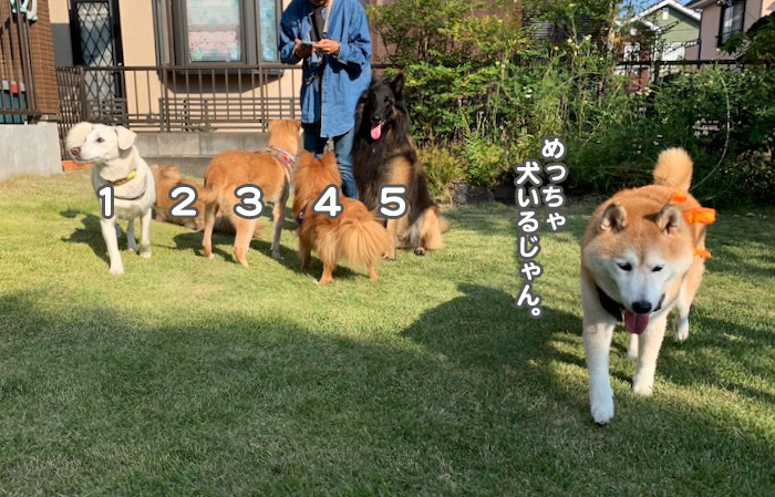 28日夕ブログ３