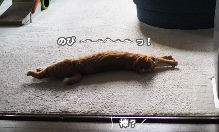 28日ブログ２