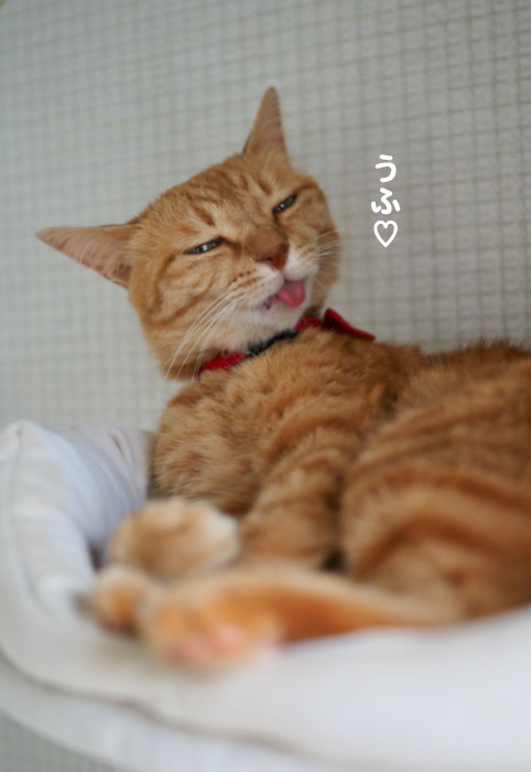 5日夕ブログ１０