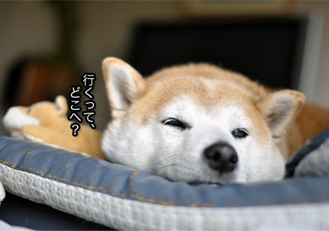 28日ブログ12.jpg
