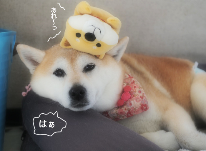 7日ブログ１１