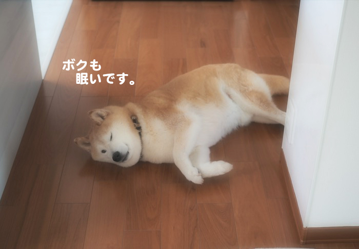22日夕ブログ７