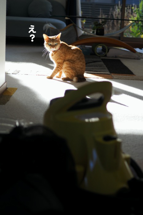 29日のブログ２