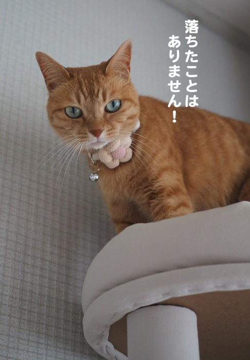 3日夕ブログ６
