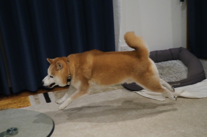 22日夕ブログ１９