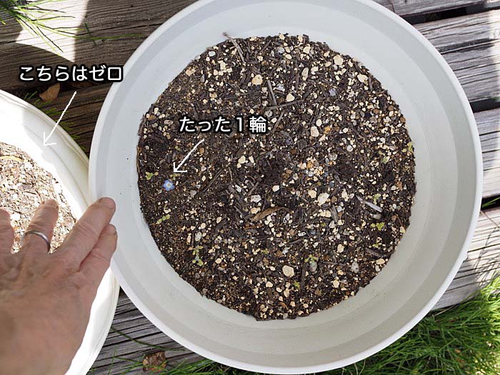 12日ブログ7