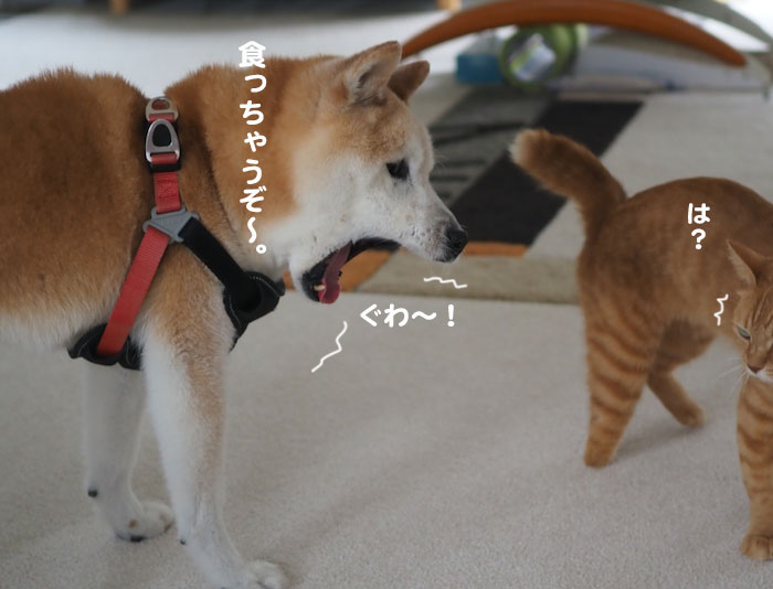 3日夕ブログ２