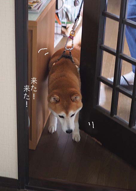 25日ブログ6