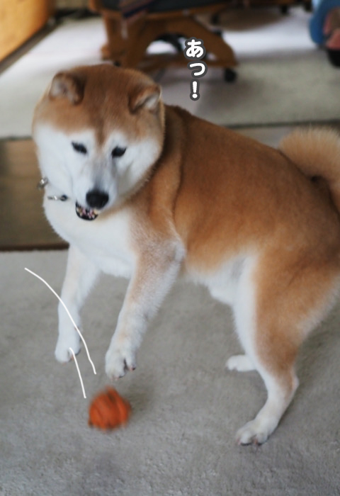 15日ブログ７