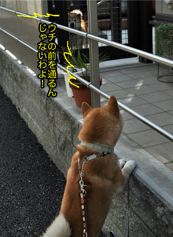 4日ブログ3.jpg