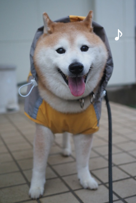 23日ブログ１
