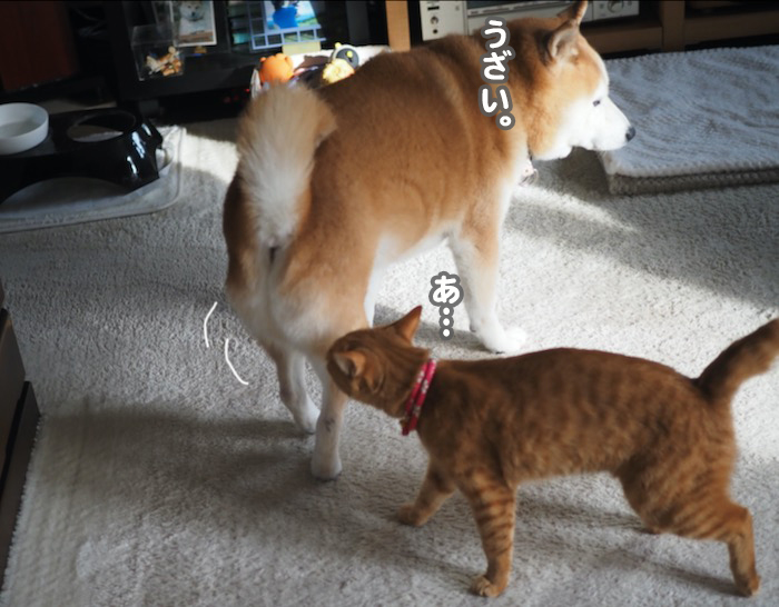 24日夕ブログ２