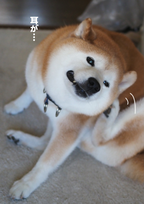 3日夕ブログ４