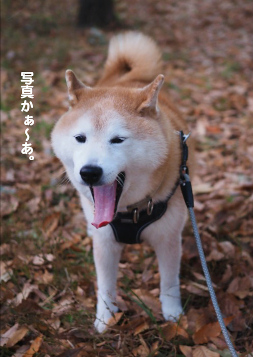 10日ブログ２