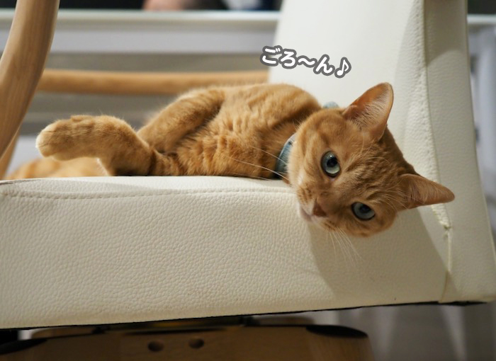 15日夕ブログ３