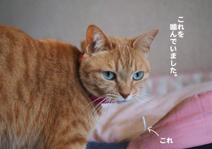 28日夕ブログ２