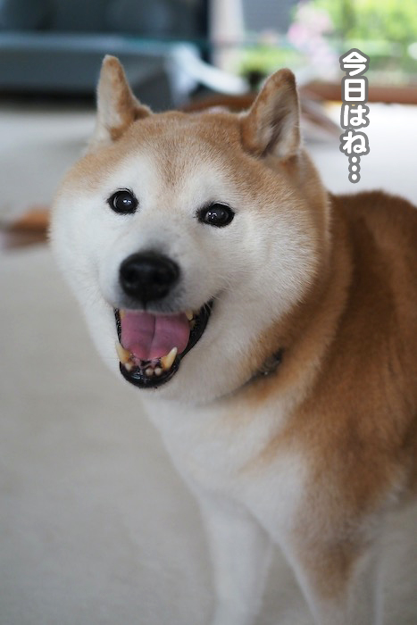 1日夕ブログ２