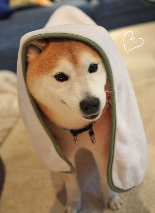 1日夜ブログ６