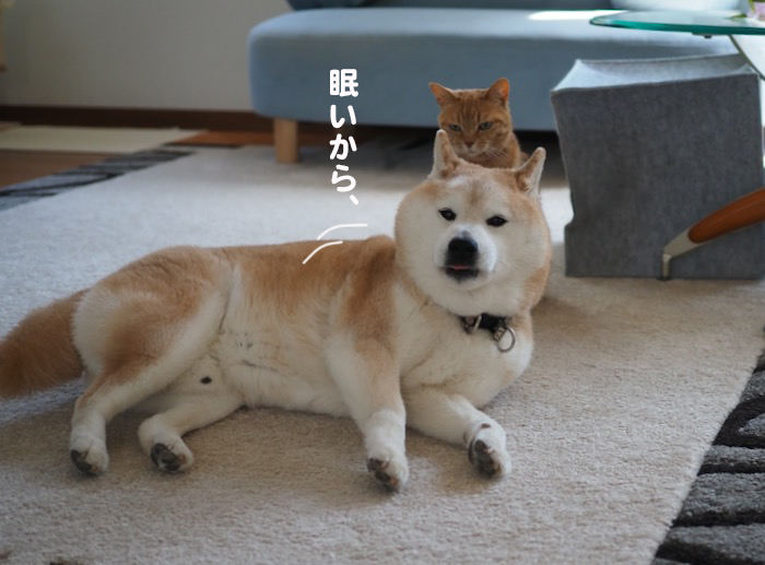 25日夕ブログ3
