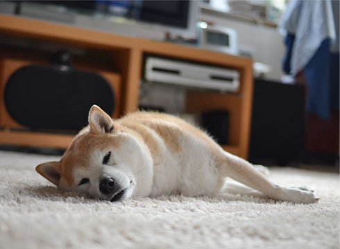 15日ブログ2.jpg