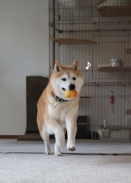 11日ブログ２