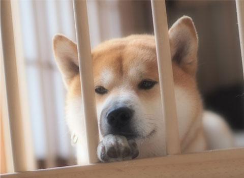 6日ブログ5.jpg