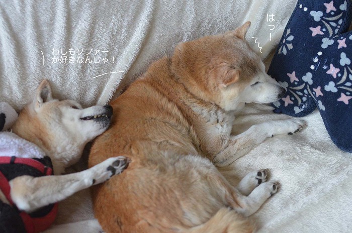 3日ブログ5