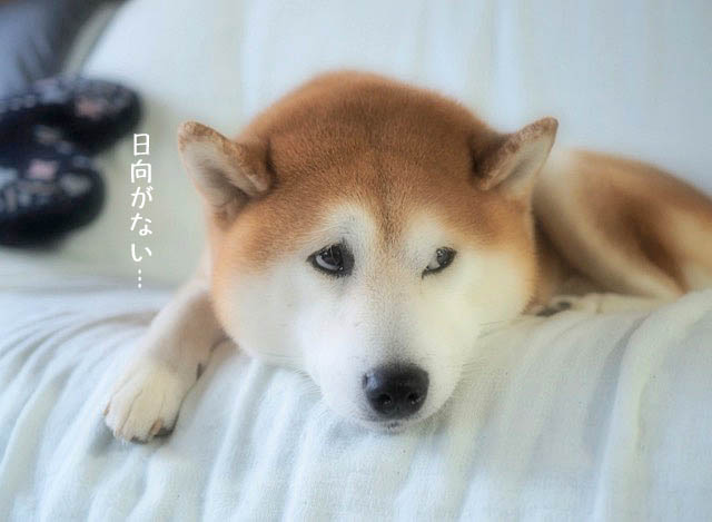 21日ブログ6