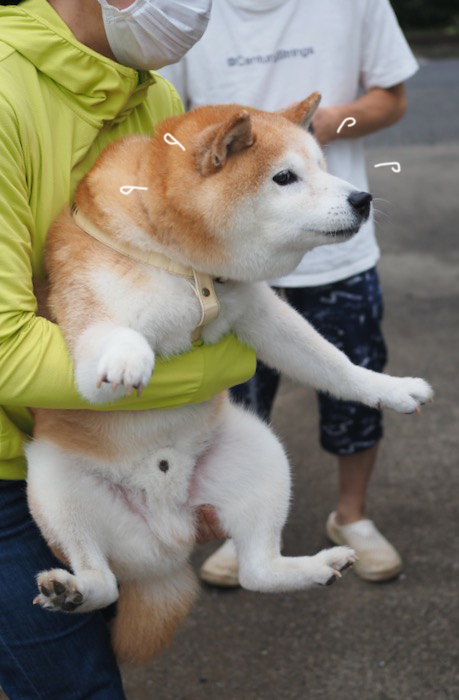13日ブログ７