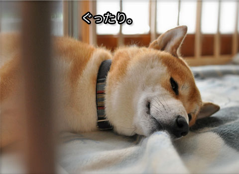 29日ブログ7.jpg