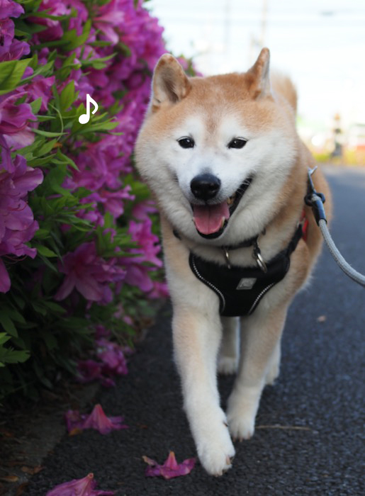 4日ブログ２