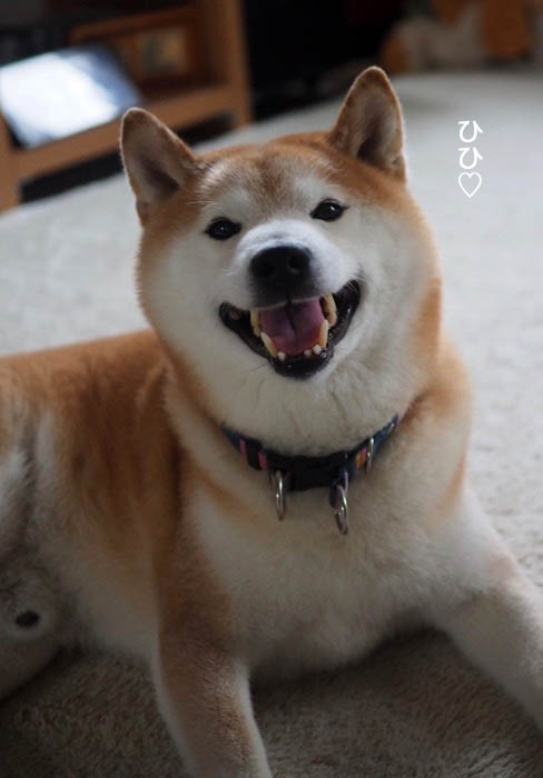 7日夜ブログ７