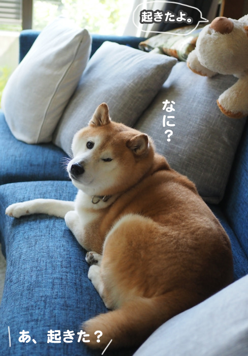 18日夕ブログ３