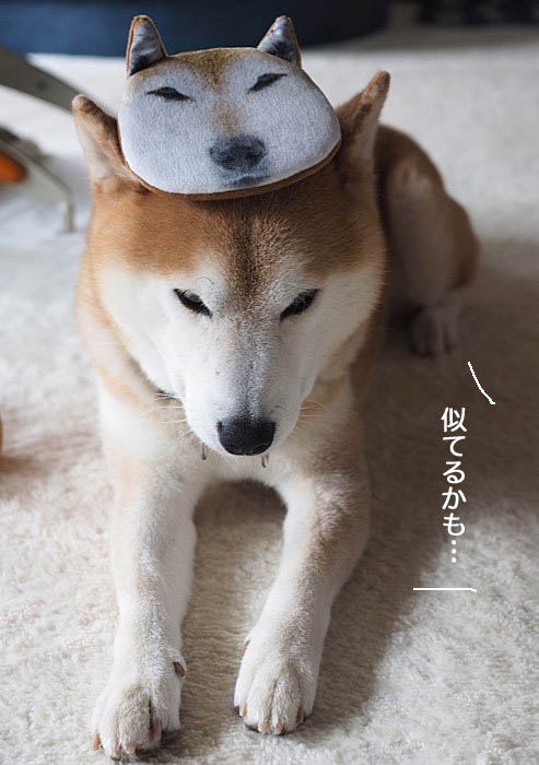 14日ブログ４