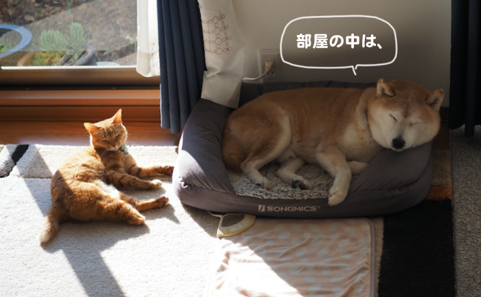 4日ブログ１