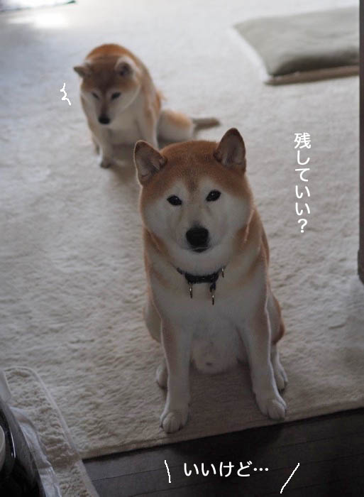 22日夜ブログ２