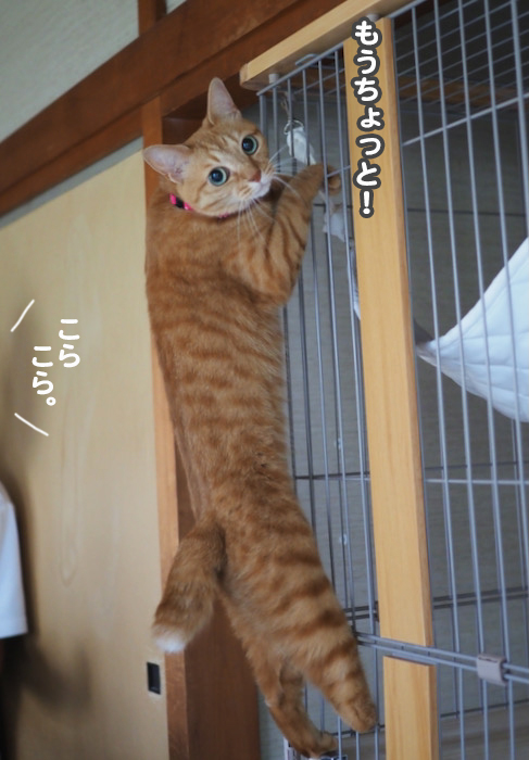 13日夕ブログ４