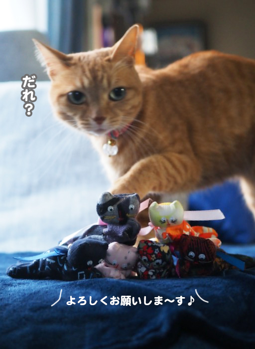 12日夕ブログ17