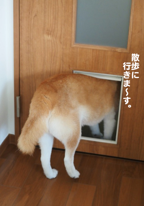 13日午前ブログ１
