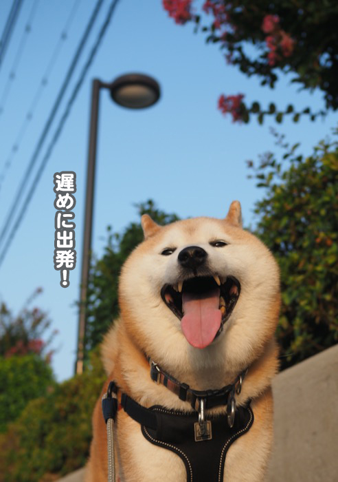 23日夕ブログ３
