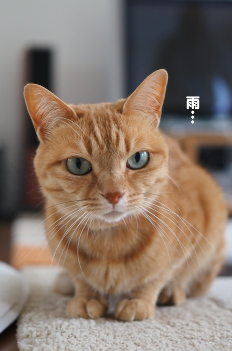 2日ブログ４