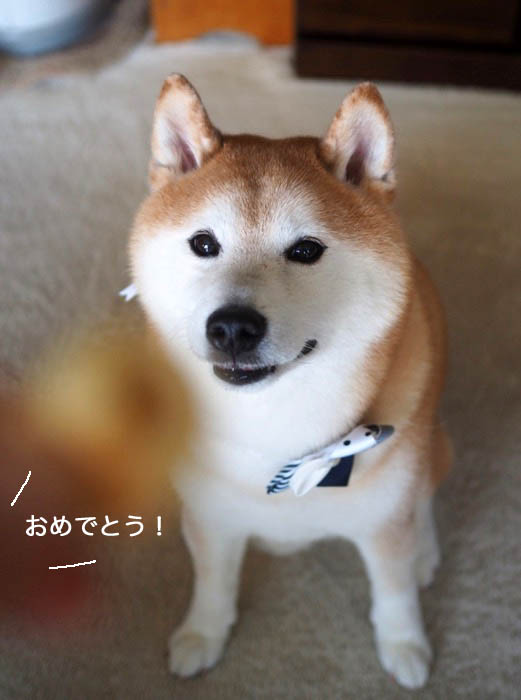 6日ブログ３